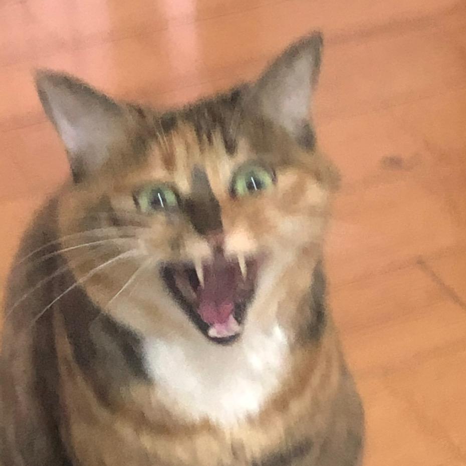 朝阳区铁脚🦶🏻