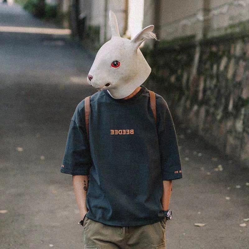 旺崽说不完