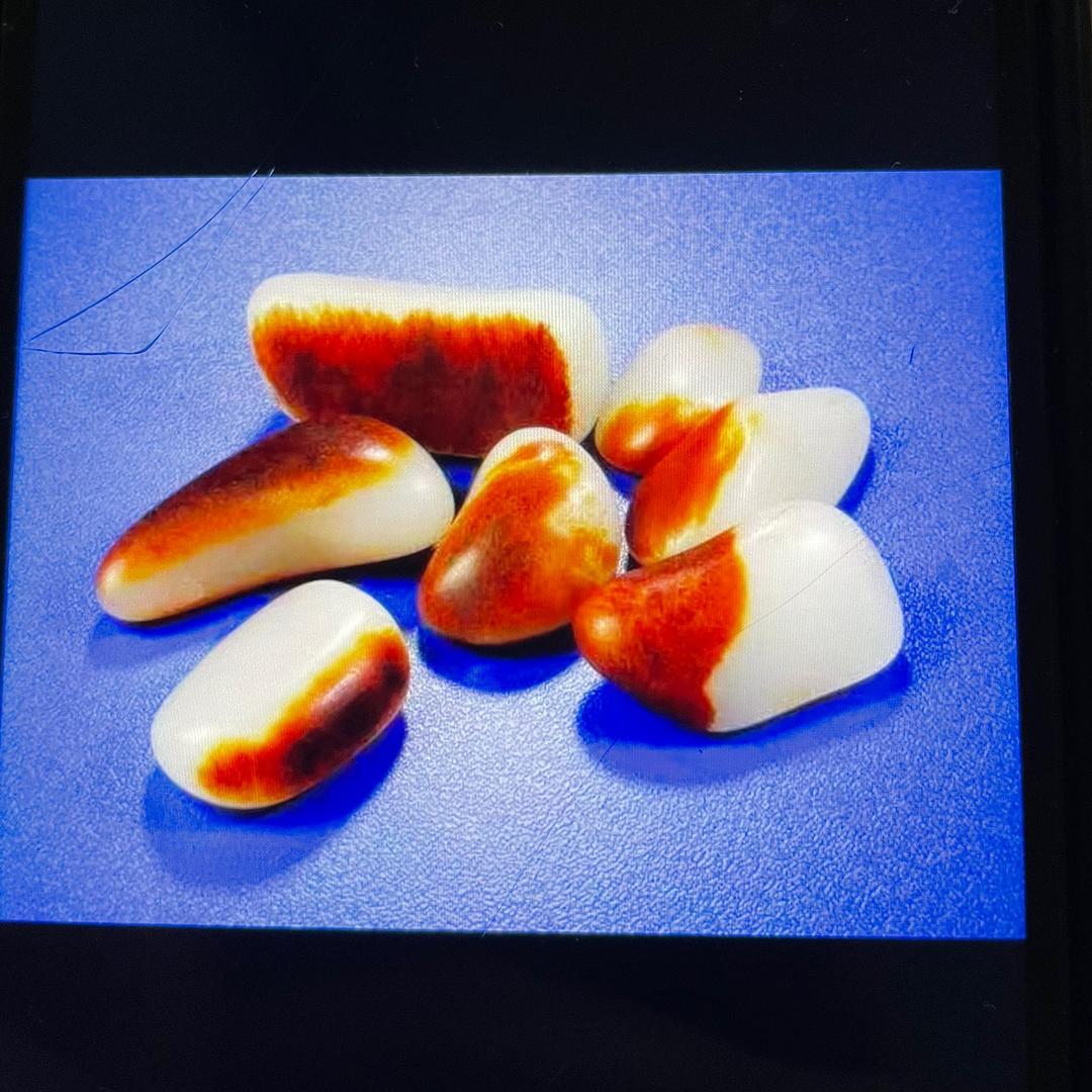 金鑫籽玉4