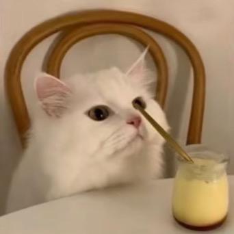 9.9安安电竞考官-小武