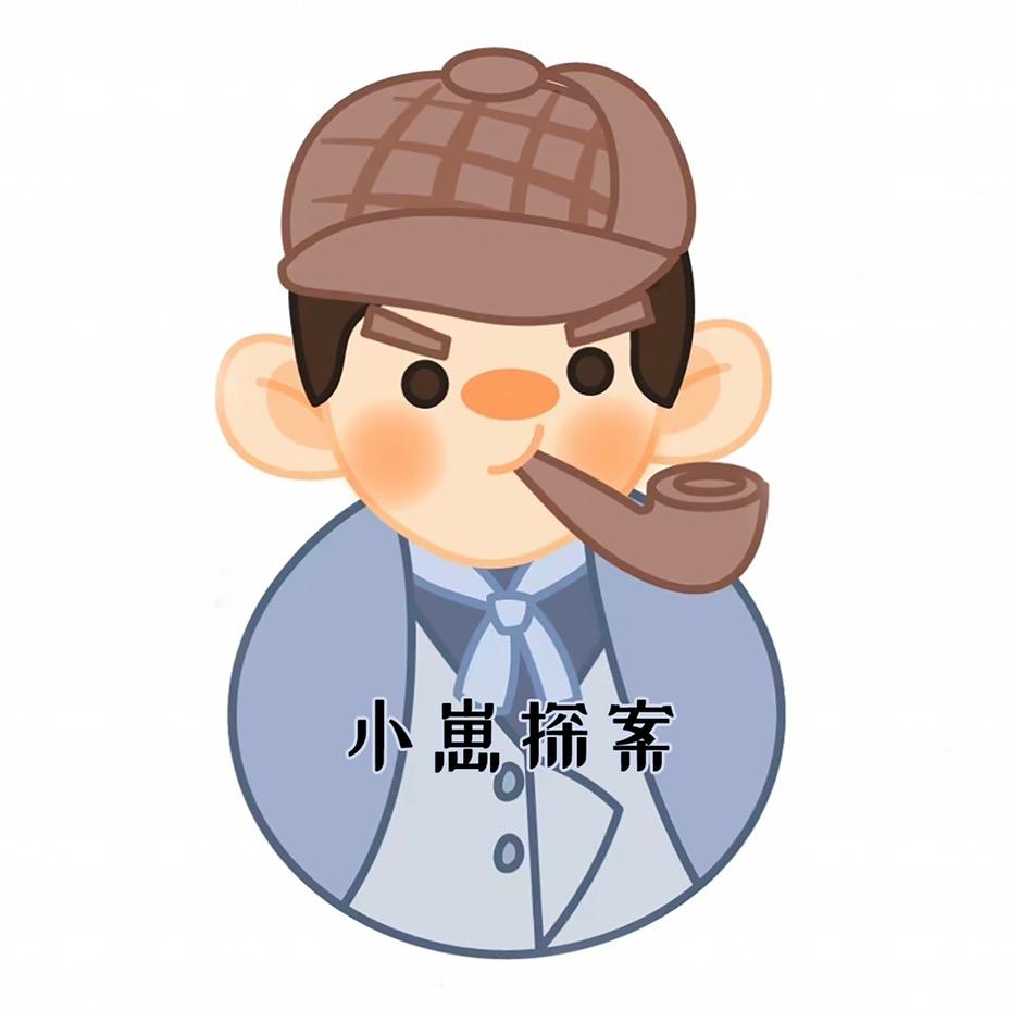 小崽探案
