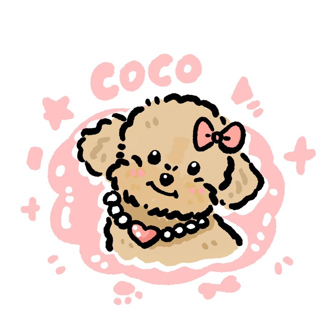 Coco爱玩毛线🧶