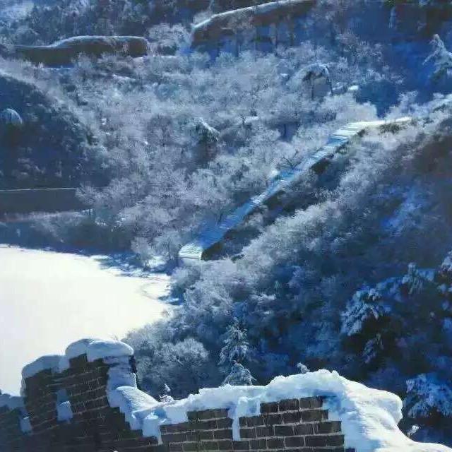 飞龙在天