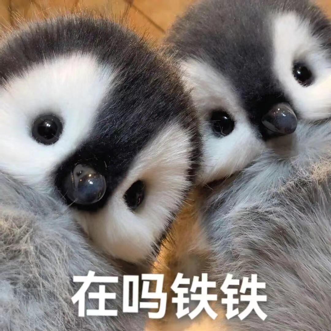 孩子王(遂宁万达店)专用号