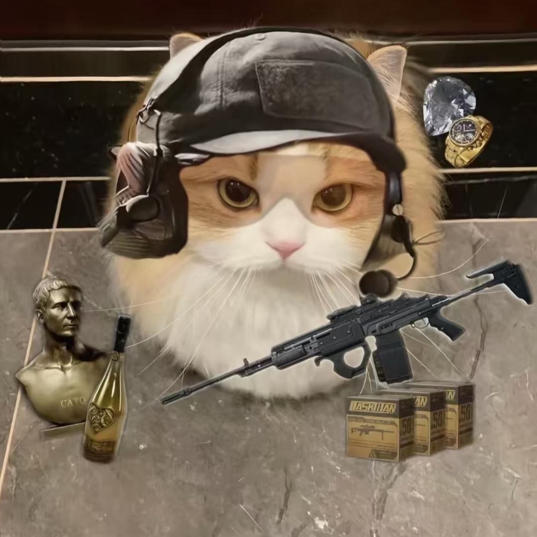 饼饼（三角洲行动）