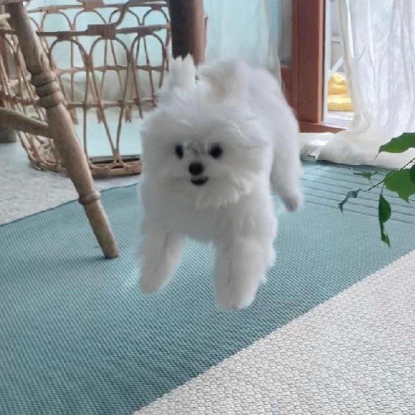 莨十月