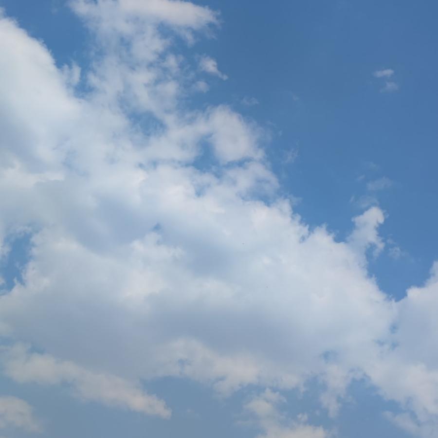 小禹竟速