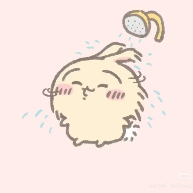 小李小李