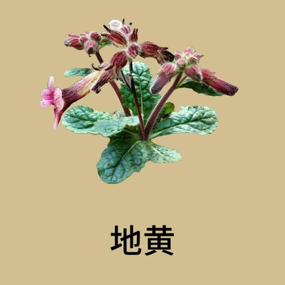 怀陀堂农业市集