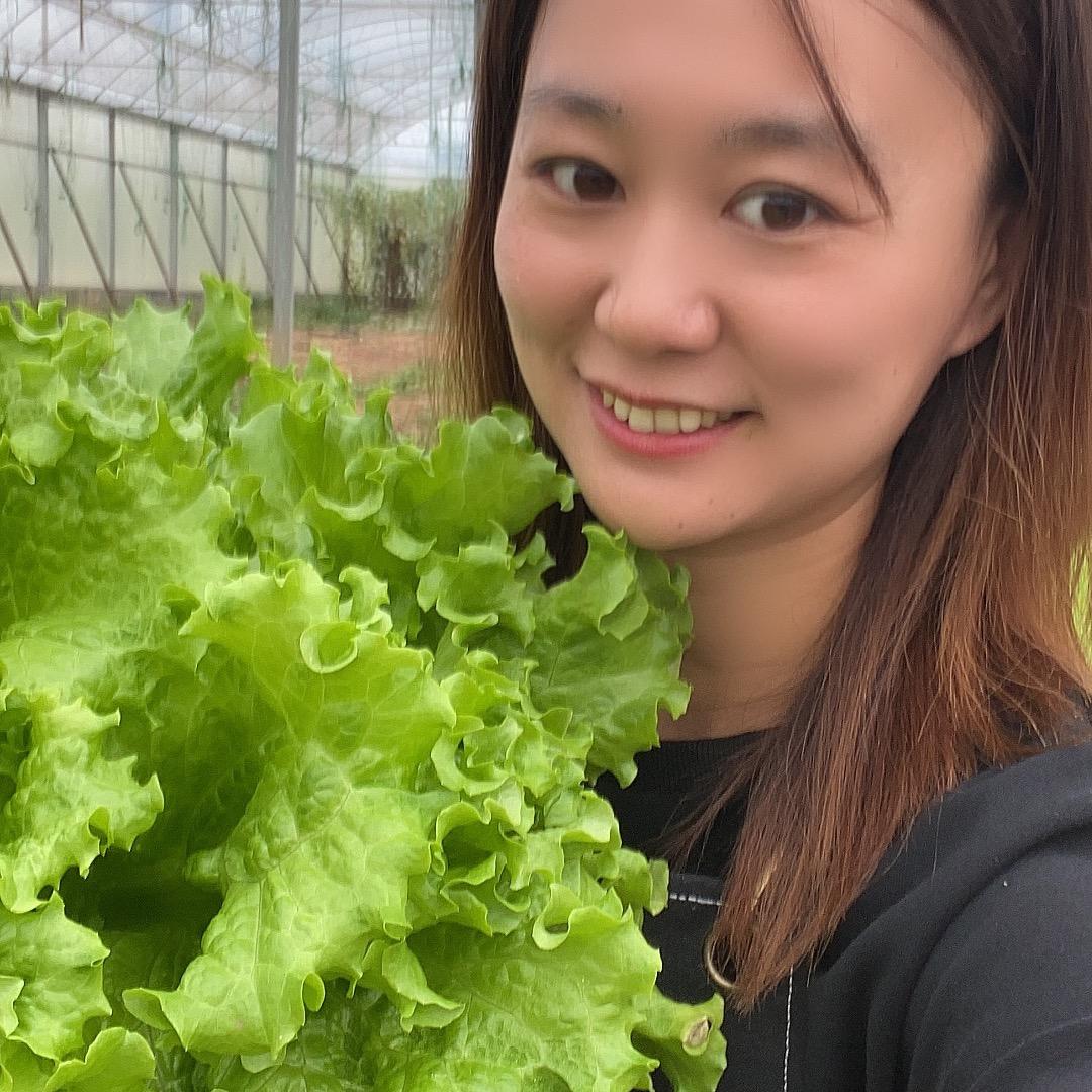 田间小美
