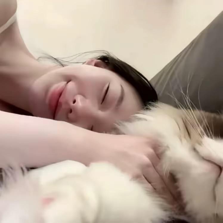 一只猫.