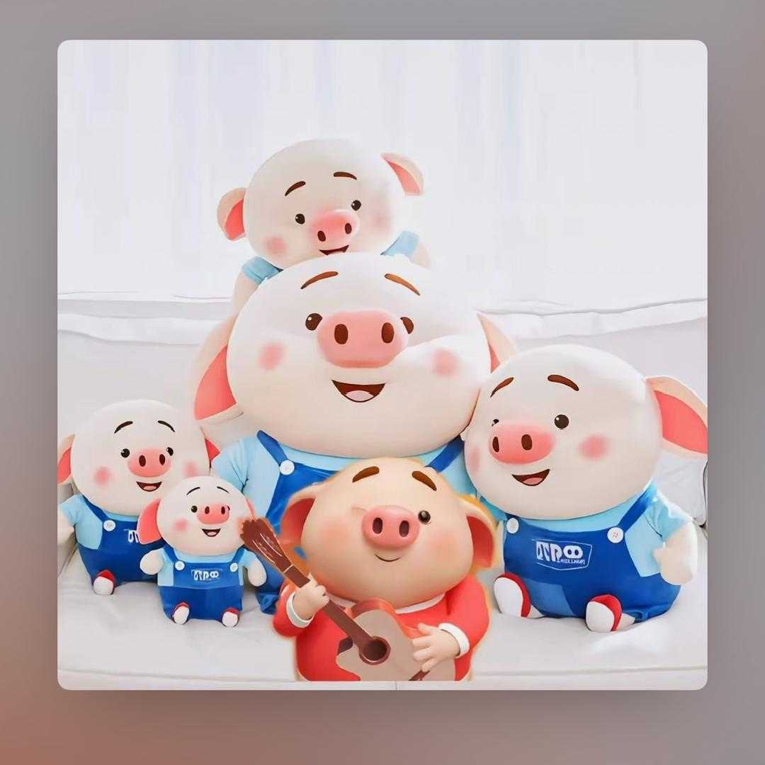 无姓名