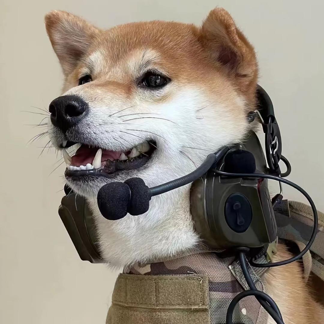 长话（三角洲行动）