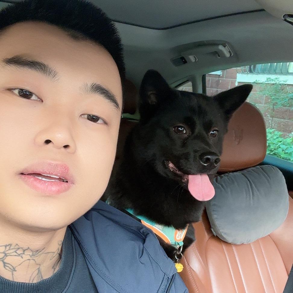王哥说车专业碰碰车