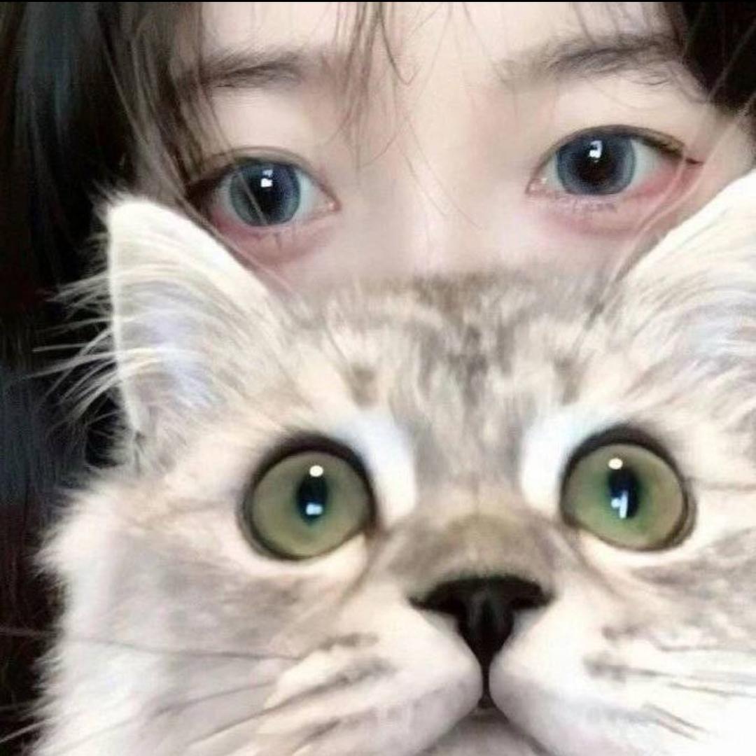 橘子🥤🥤