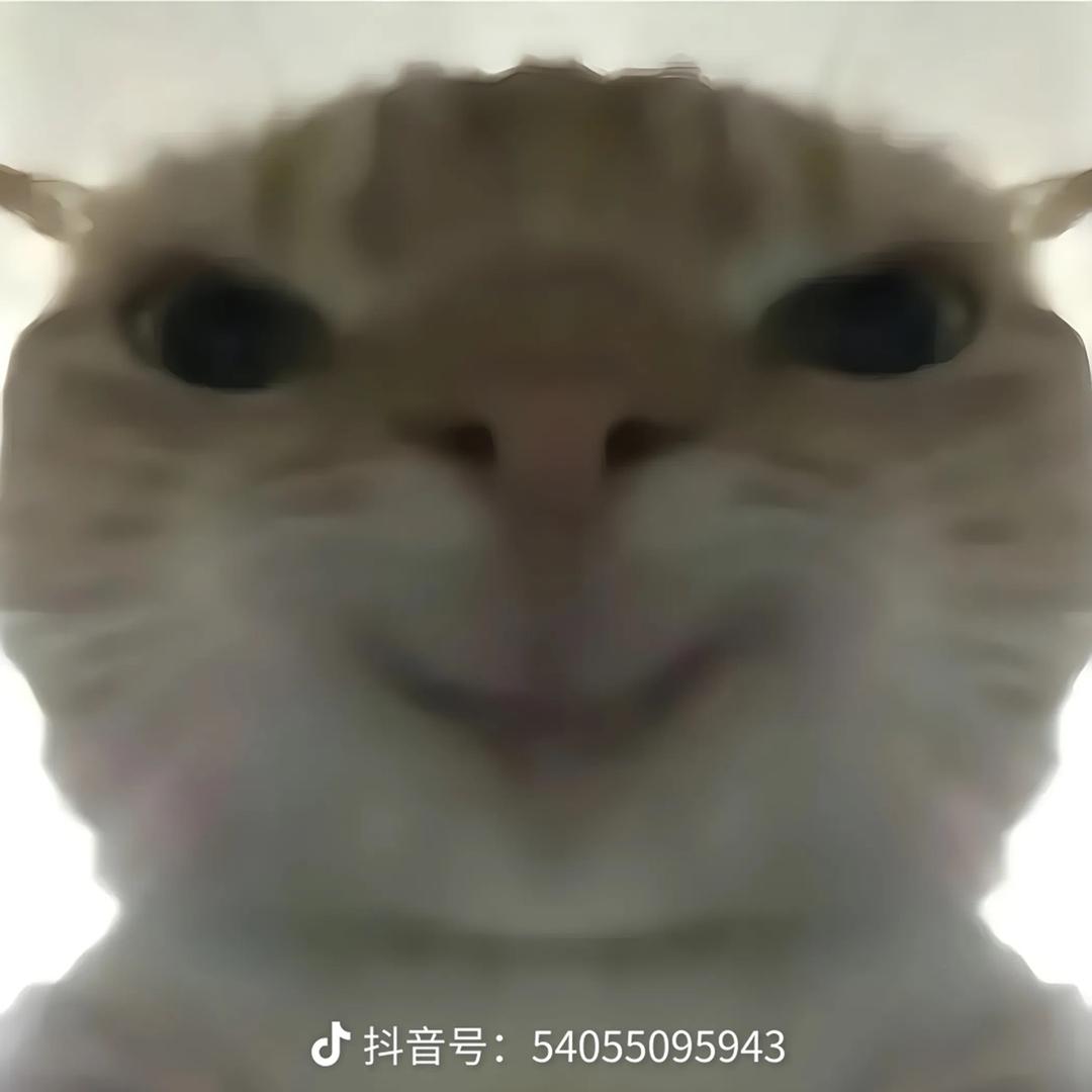 粥粥（三角洲行动）