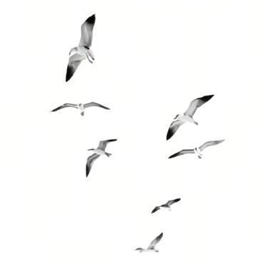 冰鑫（藏弥·慕也villa·庄园）