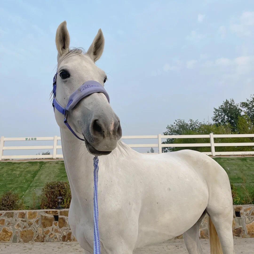 澳门特价酒店(订房)