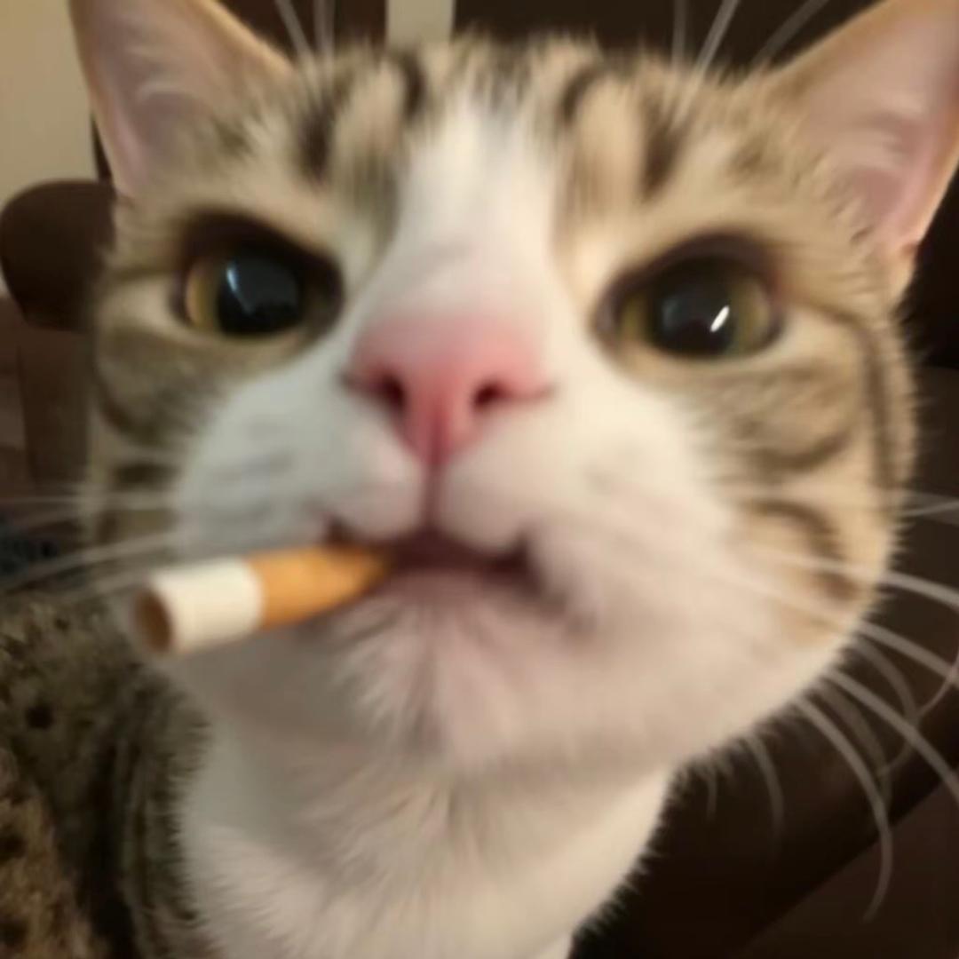 执着于