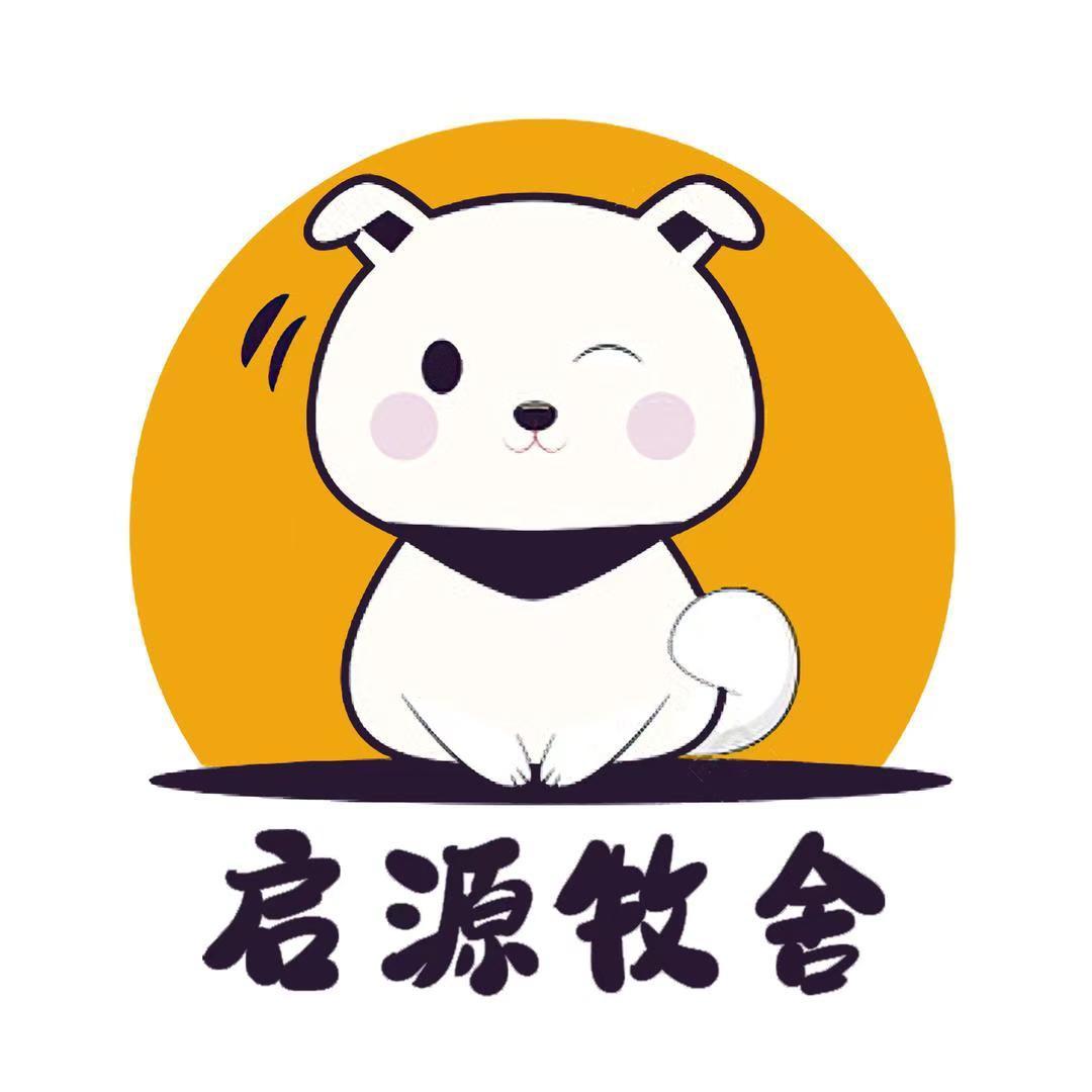 沈阳启源家小边牧