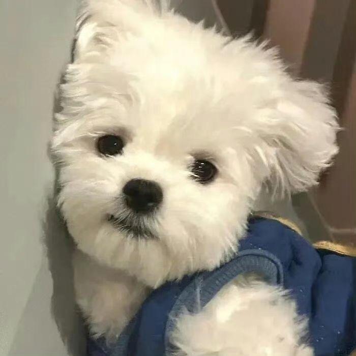 阿玉之家