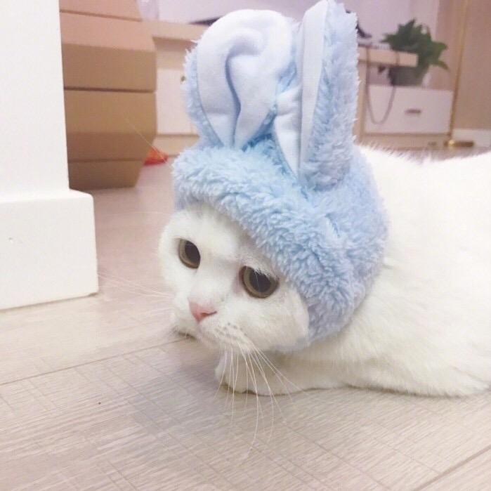 三斤葡萄盖口服耶