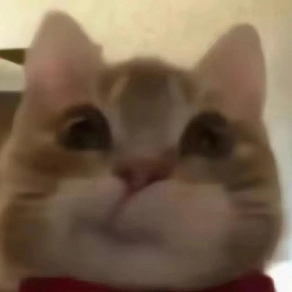 一只企鹅