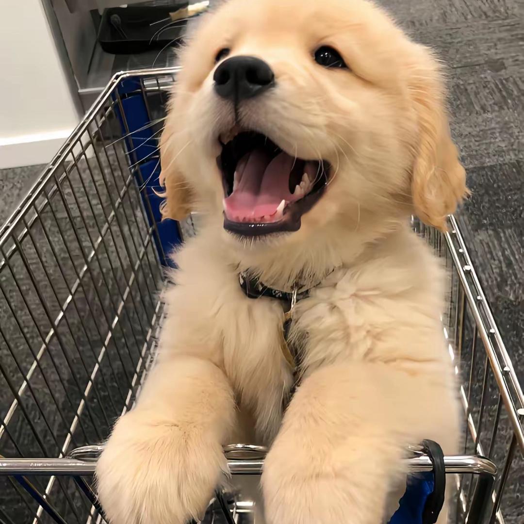 斌