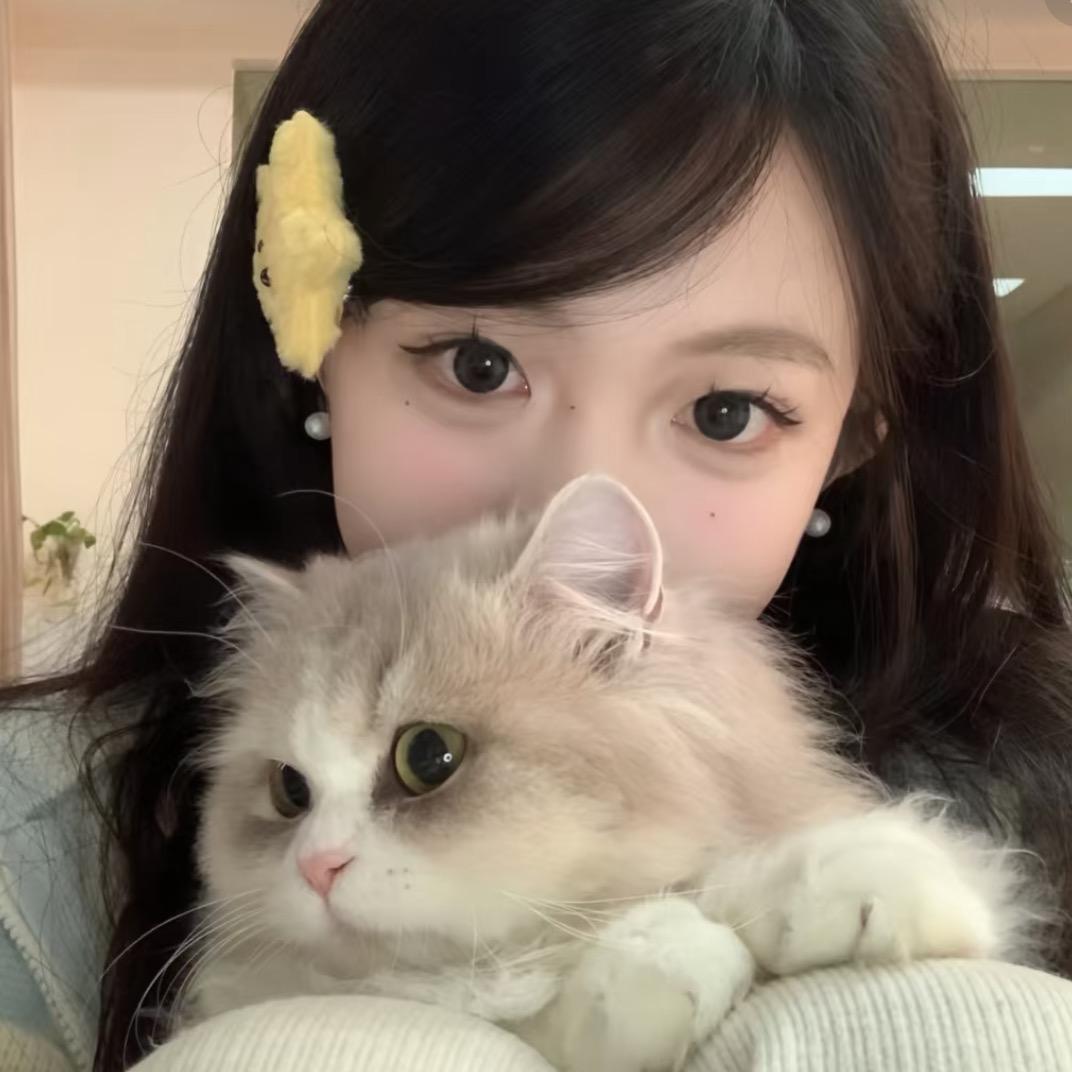 番茄炒蛋🉑️s