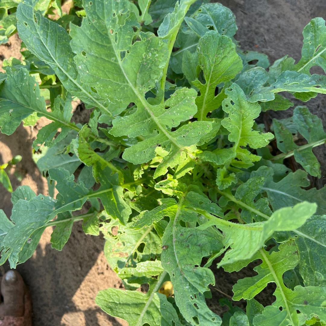 记录日常干活时