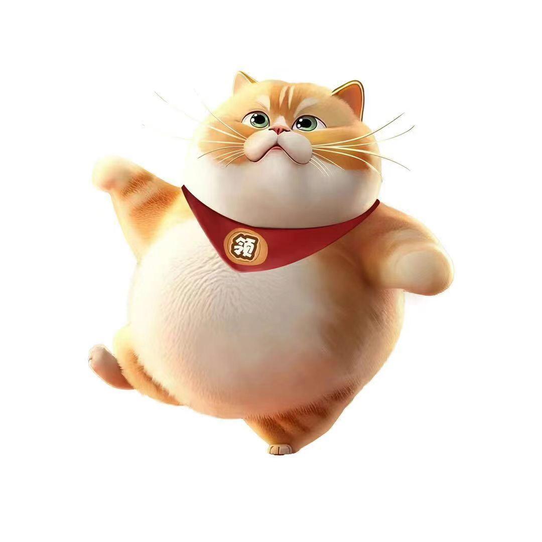 团团猫咪领养温州店