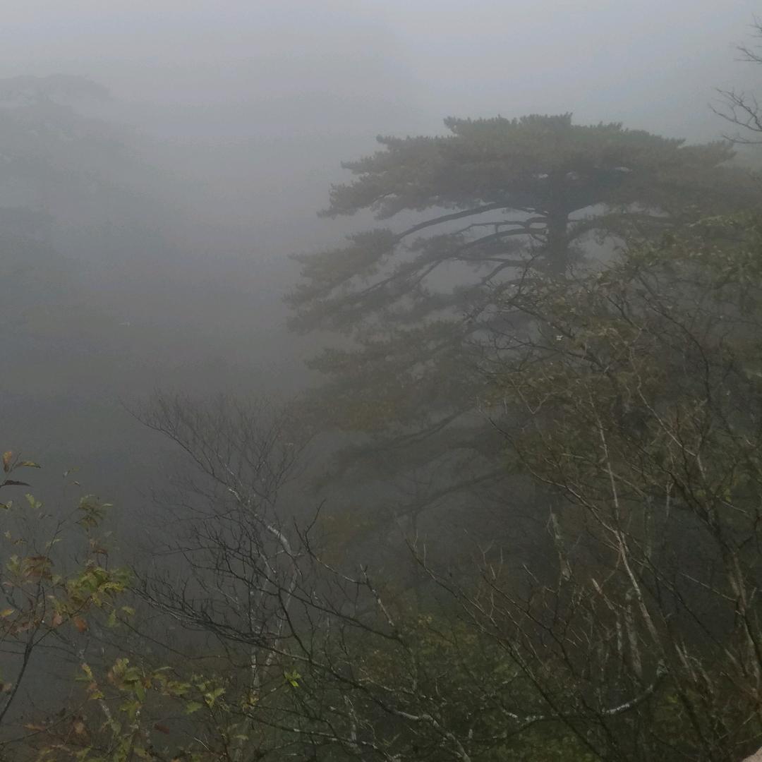 酱香味