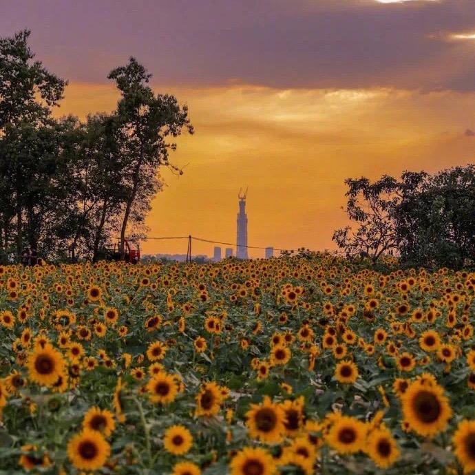 小王的装修日记vlog(自装)