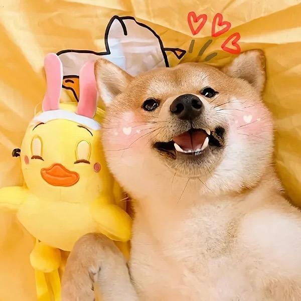 玉勺子