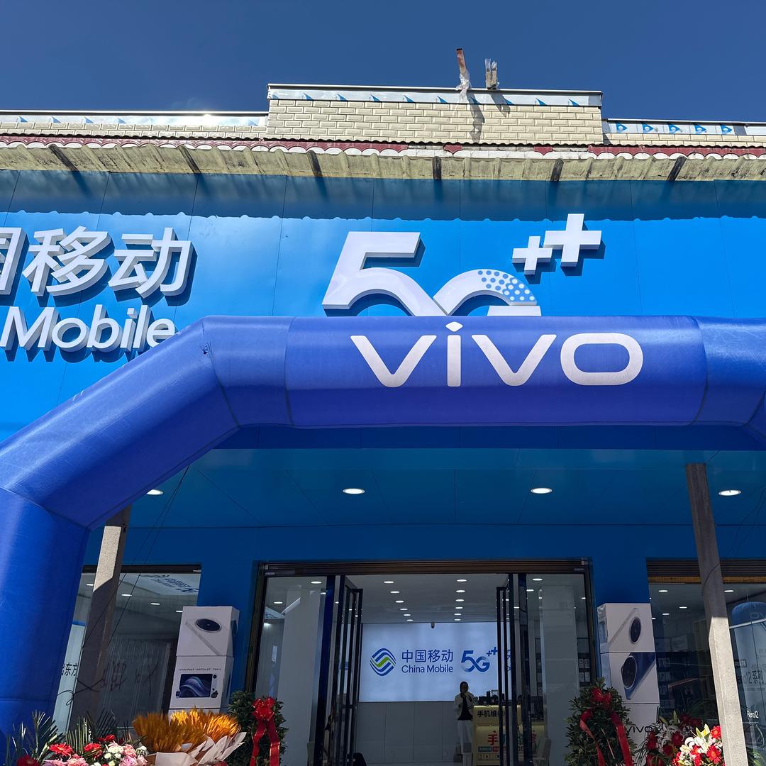 兰因手机通讯（跳蹬场店）