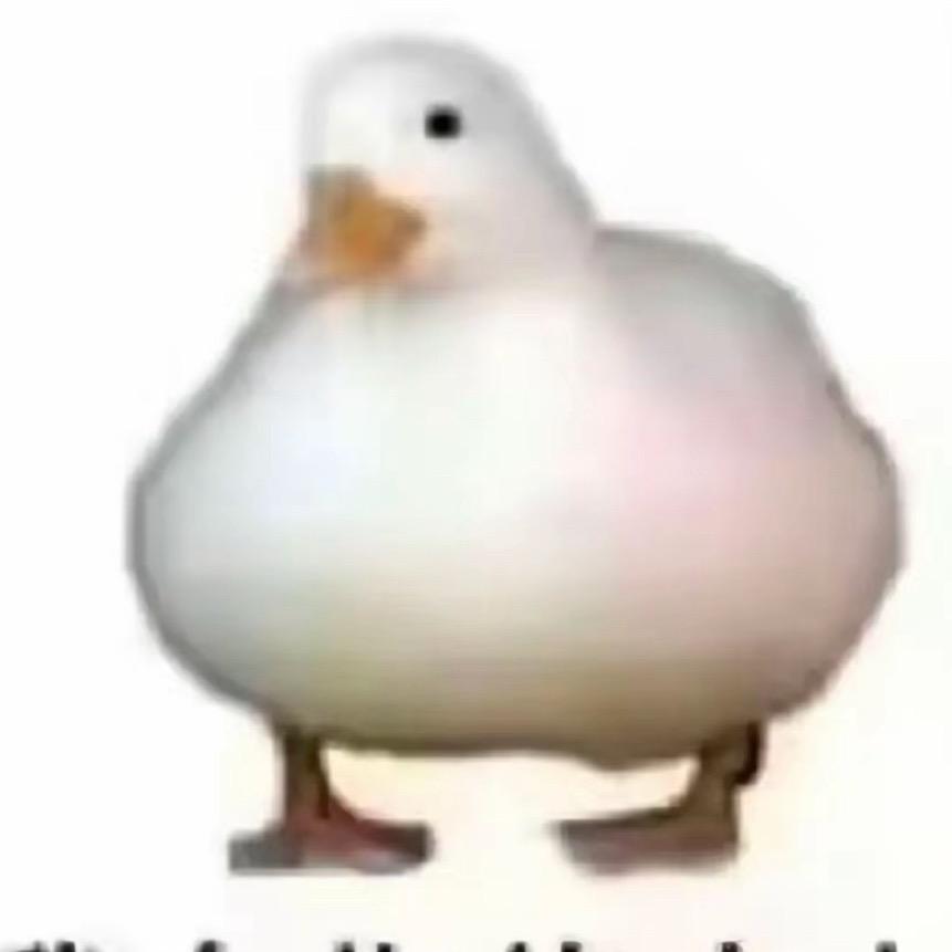 dpp