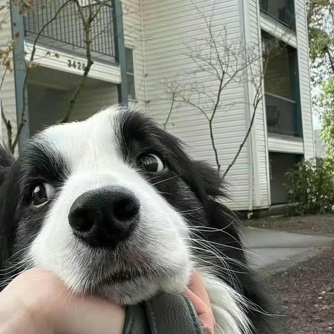 纵