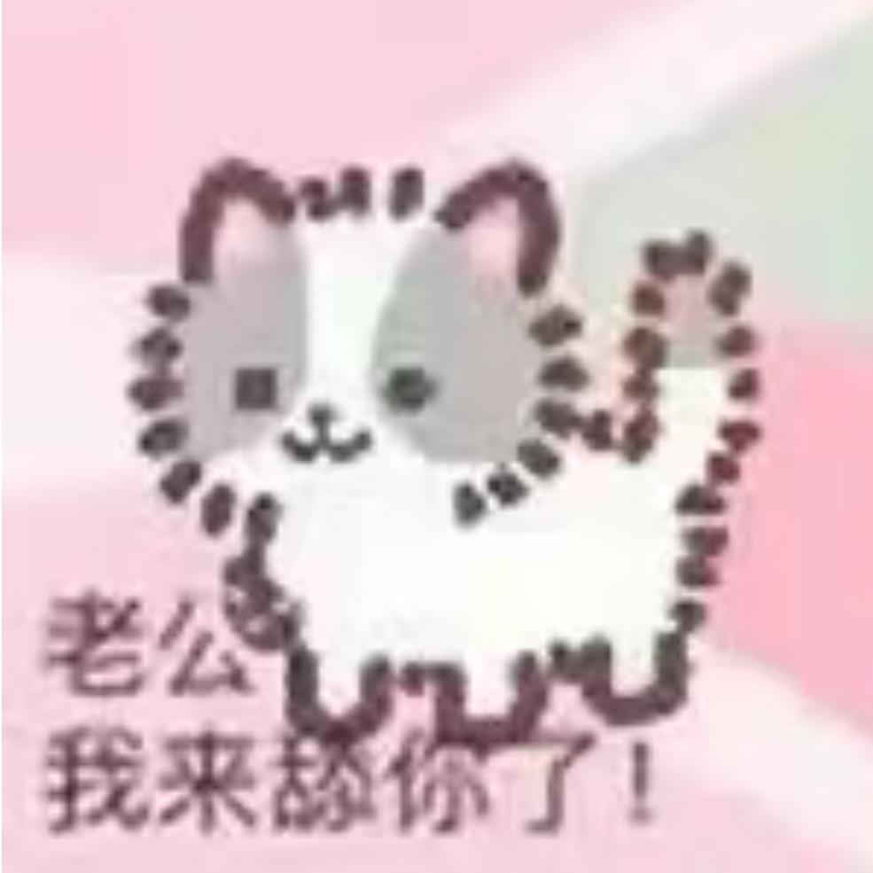 AA小零专治狗毛开叉脱落