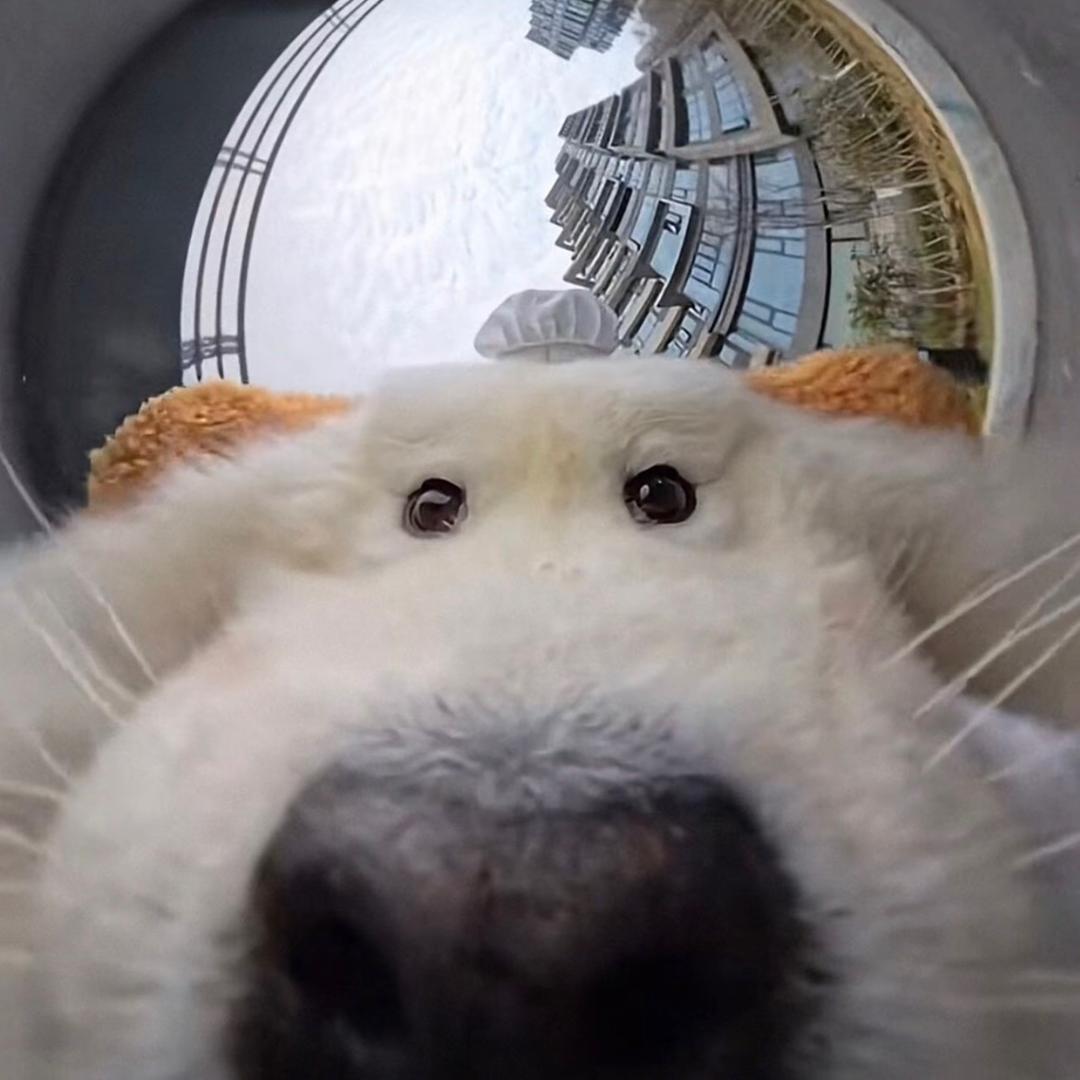 妈妈再爱我一次