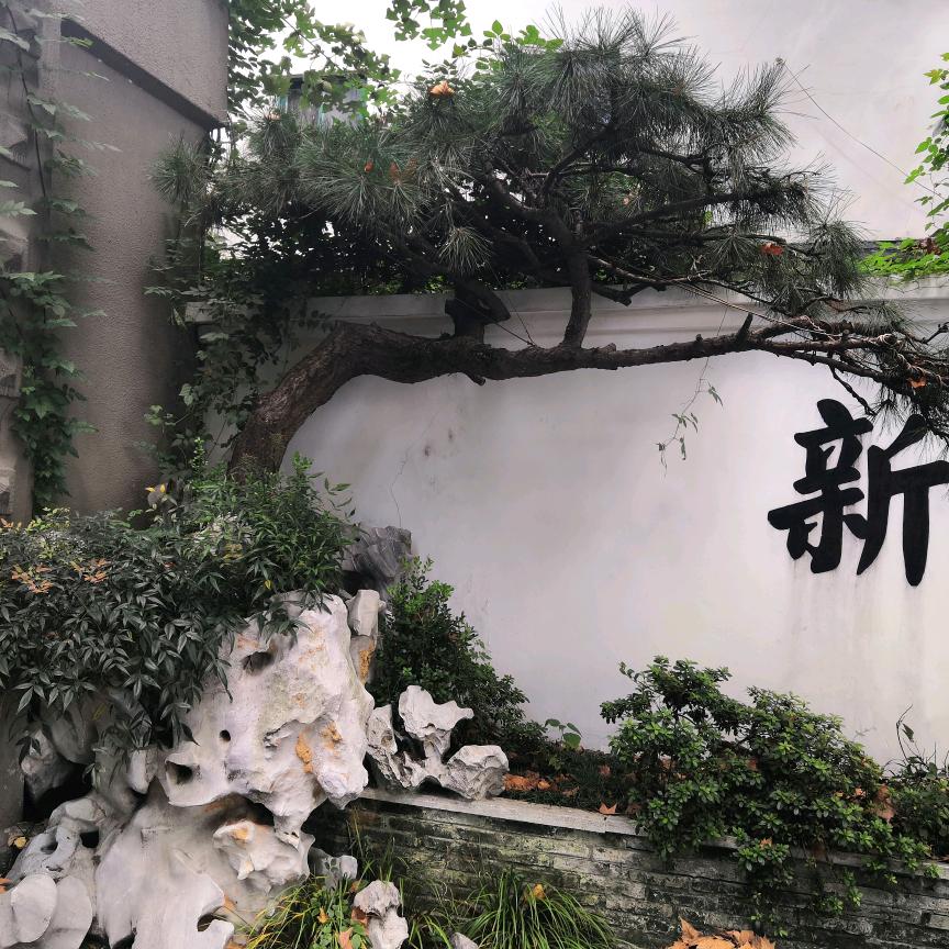 张海军