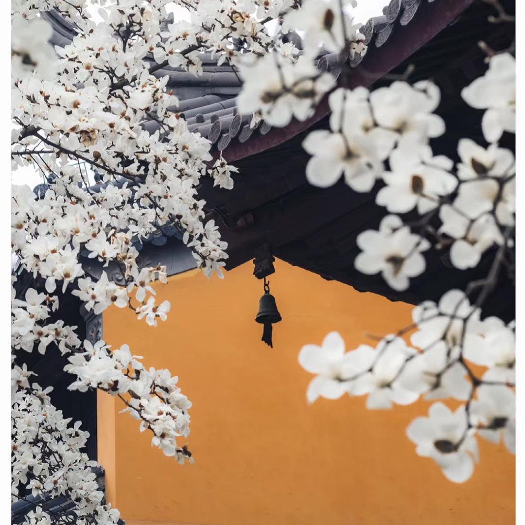 解忧画铺