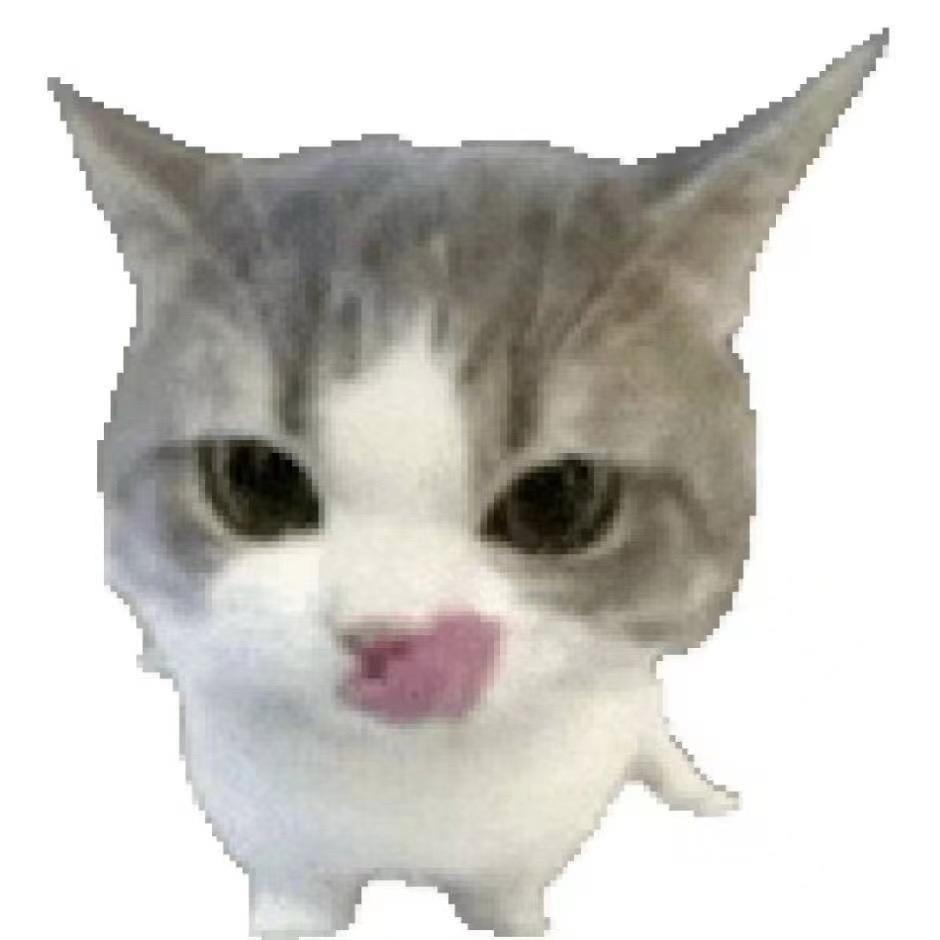 散漫鱼生