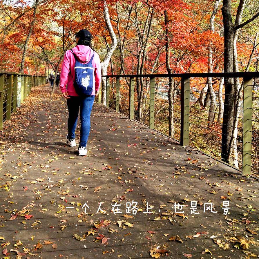 佟姐
