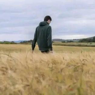 会“思想”的芦苇