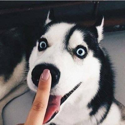 郑州板正新能源货车