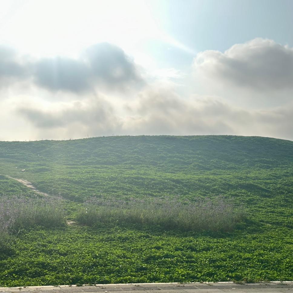 加油努力熬过去💰