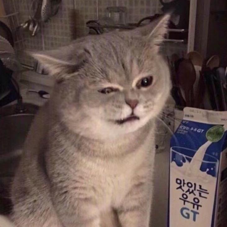 哆卡坊玩具旗舰店