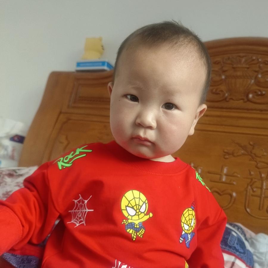 乌龟也想飞翔