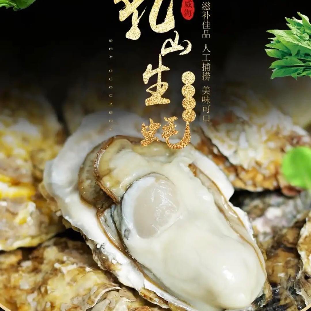 喵小浪生鲜乳山生蚝供应链
