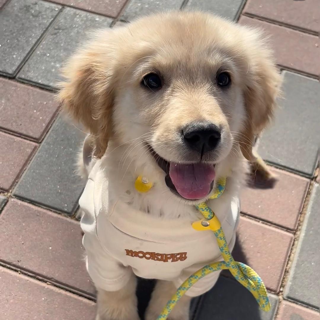 涛子五金睢书102号